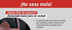 La Policía Nacional detiene a 52 personas en España en el marco de una acción global contra el blanqueo de capitales a través de mulas de dinero