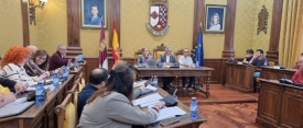 El Pleno da luz verde a la contratación de la redacción del nuevo Ferial de Valdepeñas