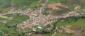 EL TORNO RECIBIRÁ UNA INVERSIÓN DEL GOBIERNO DE ESPAÑA PARA MEJORAR SUS ZONAS VERDES Y GENERAR EMPLEO