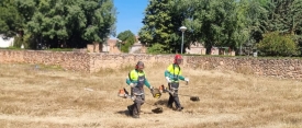 El Consistorio recuerda la obligación de mantener limpios y desbrozados solares y parcelas
